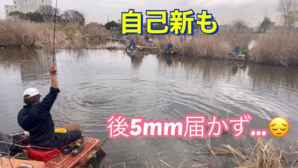 《へらぶな釣り to 近藤沼》10尺復活🤩壁は遠いが腹パンの強い引きを味わう😤