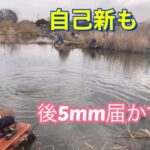 《へらぶな釣り to 近藤沼》10尺復活🤩壁は遠いが腹パンの強い引きを味わう😤