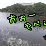 仙台市内の沼に釣りに行って・・・