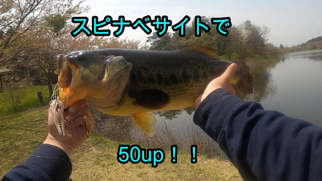 【バス釣り】平筒沼でリベンジ達成！