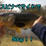 【バス釣り】平筒沼でリベンジ達成！