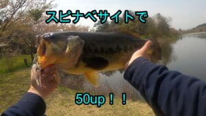 【バス釣り】平筒沼でリベンジ達成！