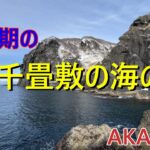 【北海道の釣り/水中映像】極寒期の兜千畳敷の海の中