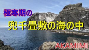 【北海道の釣り/水中映像】極寒期の兜千畳敷の海の中