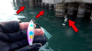 【大型入れ食い】温排水垂れ流しのパイルに落とすだけの釣りを紹介します。