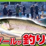 市民プールが管理釣り場に大変身【日進市総合運動公園プールフィッシング】トラウトフィッシングスポット ニジマス アマゴ イワナが釣れる! 愛知 釣り堀 冬季限定