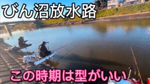 この時期のびん沼放水路のへらぶなは型がいい!野釣りも管理もどこも厳しい釣りのようです。