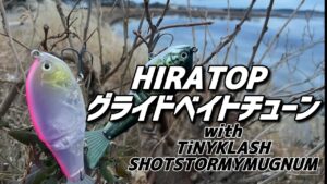 【釣ってる人はやっている⁉︎】ヒラトップ・タイニークラッシュ・ショットストーミーで釣果を上げるチューニング