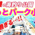 【とっとパーク小島】驚異の釣果！【必見！】釣れすぎる海釣り公園！