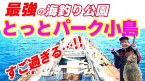【とっとパーク小島】驚異の釣果！【必見！】釣れすぎる海釣り公園！