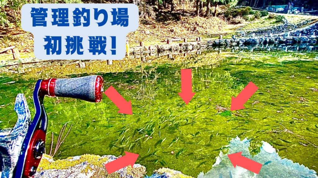 初めての管理釣り場　すみません管理釣り場をナメてました...