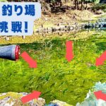 初めての管理釣り場　すみません管理釣り場をナメてました...