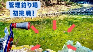 初めての管理釣り場　すみません管理釣り場をナメてました...