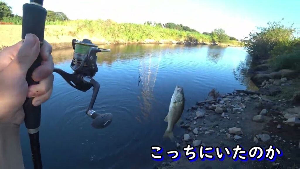 晩秋でもつ抜けできる西谷田川　牛久沼水系バス釣り