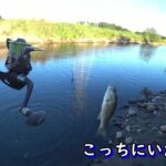 晩秋でもつ抜けできる西谷田川　牛久沼水系バス釣り