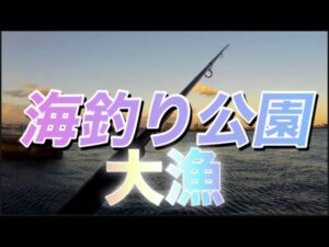 【浜名湖】海釣り公園 沢山釣れました サビキ 青物 餌 エサ 釣り 爆釣 大漁 餌なしサビキ 遠投