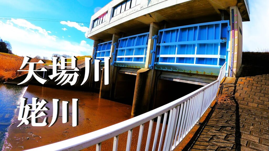 【矢場川、姥川、ルアー釣り】【利根川＆荒川水系、バス釣り、コイ釣り、雷魚釣り、ナマズ釣り、クチボソ、餌釣り、フィシング、魚釣り、埼玉釣り、関東釣り、栃木釣り、足利瑞穂野町エリア】