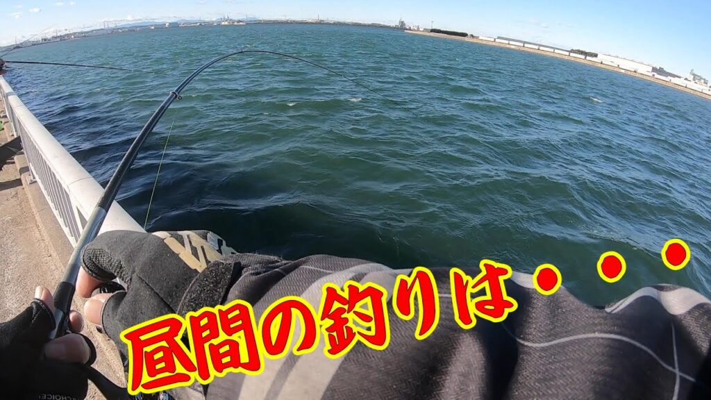 【渋い昼間の釣り】釣り/海釣り/サビキ釣り/碧南海釣り公園/碧南釣り広場/温排水/衣浦湾/クロダイ/チヌ/キビレ/セイゴ/マダカ/シーバス/サッパ/コノシロ