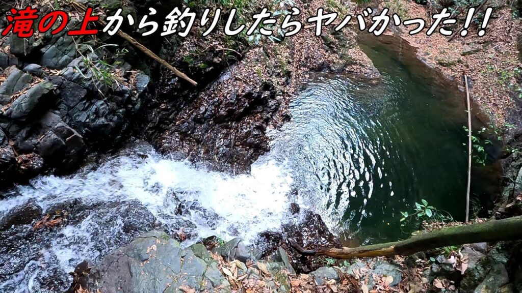 滝の上から釣りしたら爆釣過ぎた！！