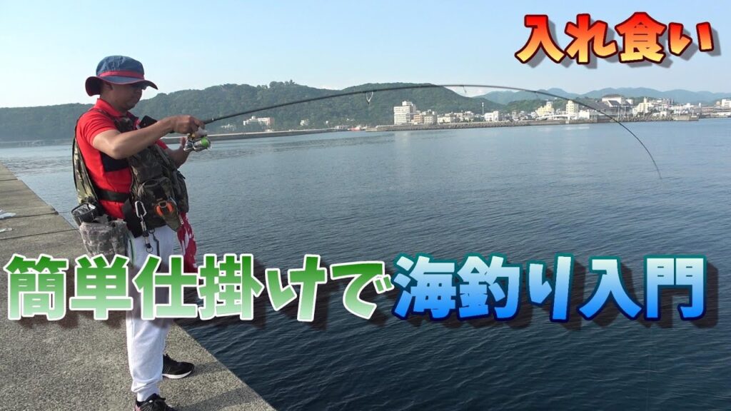 【海釣り入門】初心者にも簡単に魚が釣れる仕掛けで釣りを始めよう。