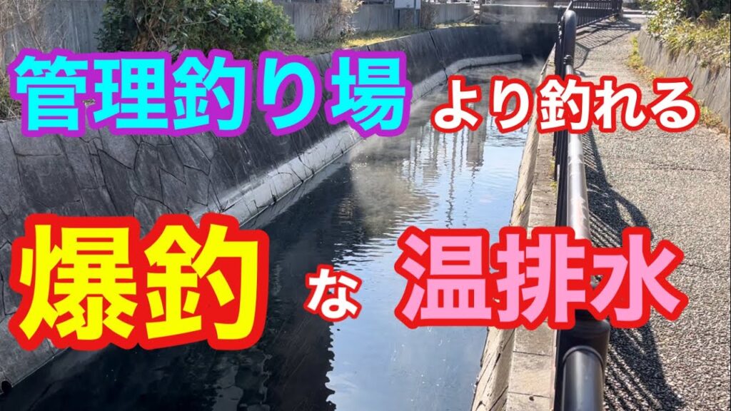 管理釣り場より釣れる爆釣な温排水 アマゾン川 ナイルティラピア