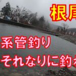 根尾川管理釣り場・それなりに釣れました【エリアトラウト】