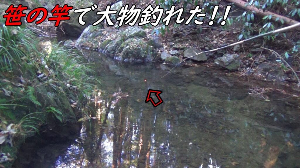 笹の竿で大物釣れた！！