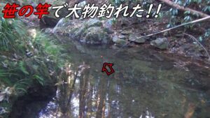 笹の竿で大物釣れた!!