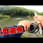 管理釣り場で大型連発のウソみたいなフライパターン！激スレの大型魚がウソみたいに釣れる！高萩ふれあいの里フィッシングエリア