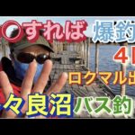 ロクマル出現! 〇〇すれば爆釣! 冬の多々良沼 バス釣り!