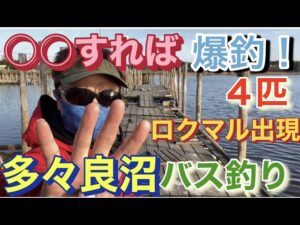 ロクマル出現! 〇〇すれば爆釣! 冬の多々良沼 バス釣り!