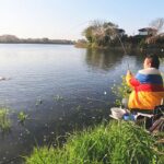 菜の花に向かって産卵するへらぶな横目に釣りをする【茨城県下妻市 砂沼】