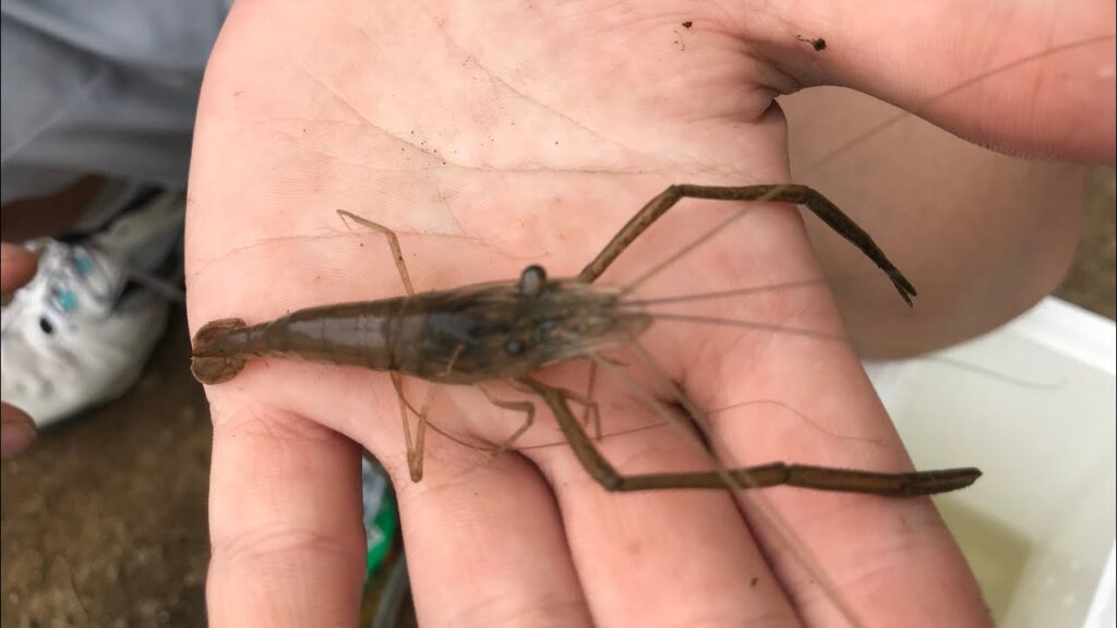 別所沼公園で釣り！