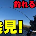 いつも行かないポイント行って釣れる場所を発見！！【五三川】【大江川】【バス釣り】【シャーベットヘアーチャンネル】