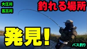 いつも行かないポイント行って釣れる場所を発見！！【五三川】【大江川】【バス釣り】【シャーベットヘアーチャンネル】