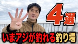 【関東釣り場紹介】いま現在アジが釣れている釣り場と釣法を紹介!冬のサビキ釣りは投げてなんぼ!
