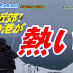 【北海道　釣り】　札幌近郊でホッケ、ニシン狙い！　そろそろクロガシラ？！小樽港