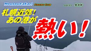 【北海道 釣り】 札幌近郊でホッケ、ニシン狙い! そろそろクロガシラ?!小樽港
