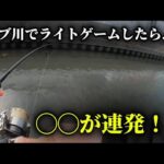 川でこの釣りは反則かもしれません。