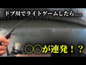 川でこの釣りは反則かもしれません。