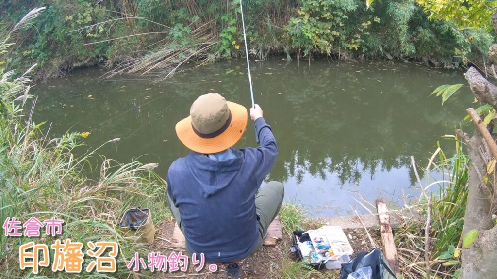 え～！似てるけど違うの？！また新魚種が釣れました！ 千葉県佐倉 印旛沼で小物釣り。