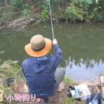 え～！似てるけど違うの？！また新魚種が釣れました！ 千葉県佐倉 印旛沼で小物釣り。