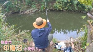 え~!似てるけど違うの?!また新魚種が釣れました! 千葉県佐倉 印旛沼で小物釣り。