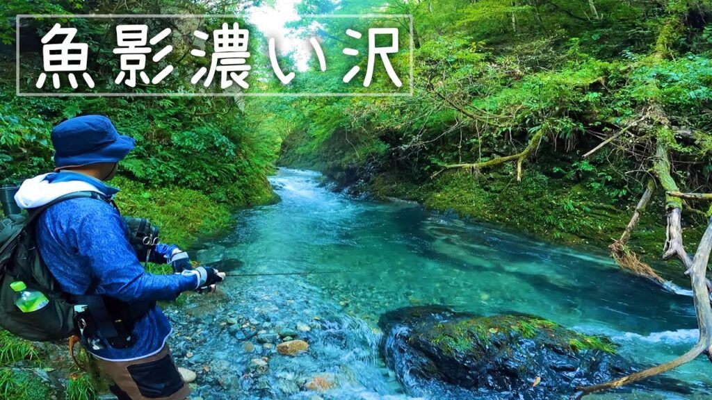 【渓流釣り】碧色の沢で釣りしたら型が揃ってるうえに爆釣だった！