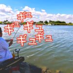 水深が深い川の水門前でダイナミックな釣り！