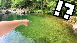 山奥の川に大量の高級魚が沸きまくってました！！