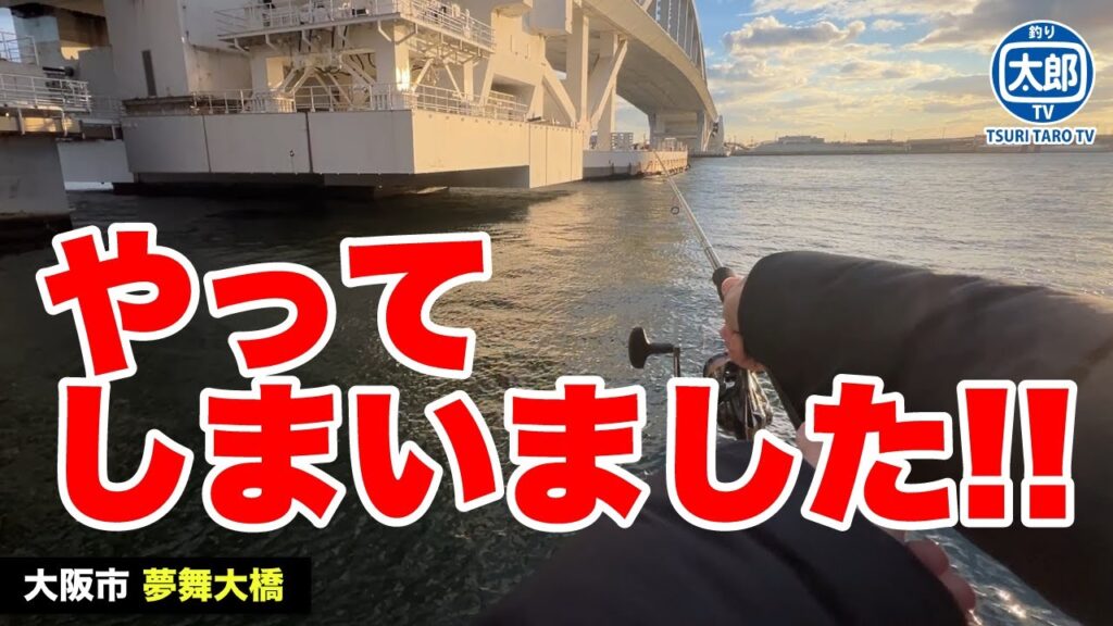 【大阪の釣り場】車横付けできる夢舞大橋で釣りしたら大変な事に…！ #釣り #海釣り #初心者 #アジング #堤防釣り #ジグ #夢舞大橋 #釣り場