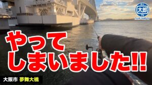 【大阪の釣り場】車横付けできる夢舞大橋で釣りしたら大変な事に…！ #釣り #海釣り #初心者 #アジング #堤防釣り #ジグ #夢舞大橋 #釣り場
