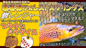 【裏磐梯フォレストスプリングス】鱒レンジャーで釣る管理釣り場のルアーフィッシング【エリアトラウト】