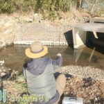 ここ凄かったー！ 冬は楽しい寒鮒釣り！  埼玉県 入間川で小物釣り。